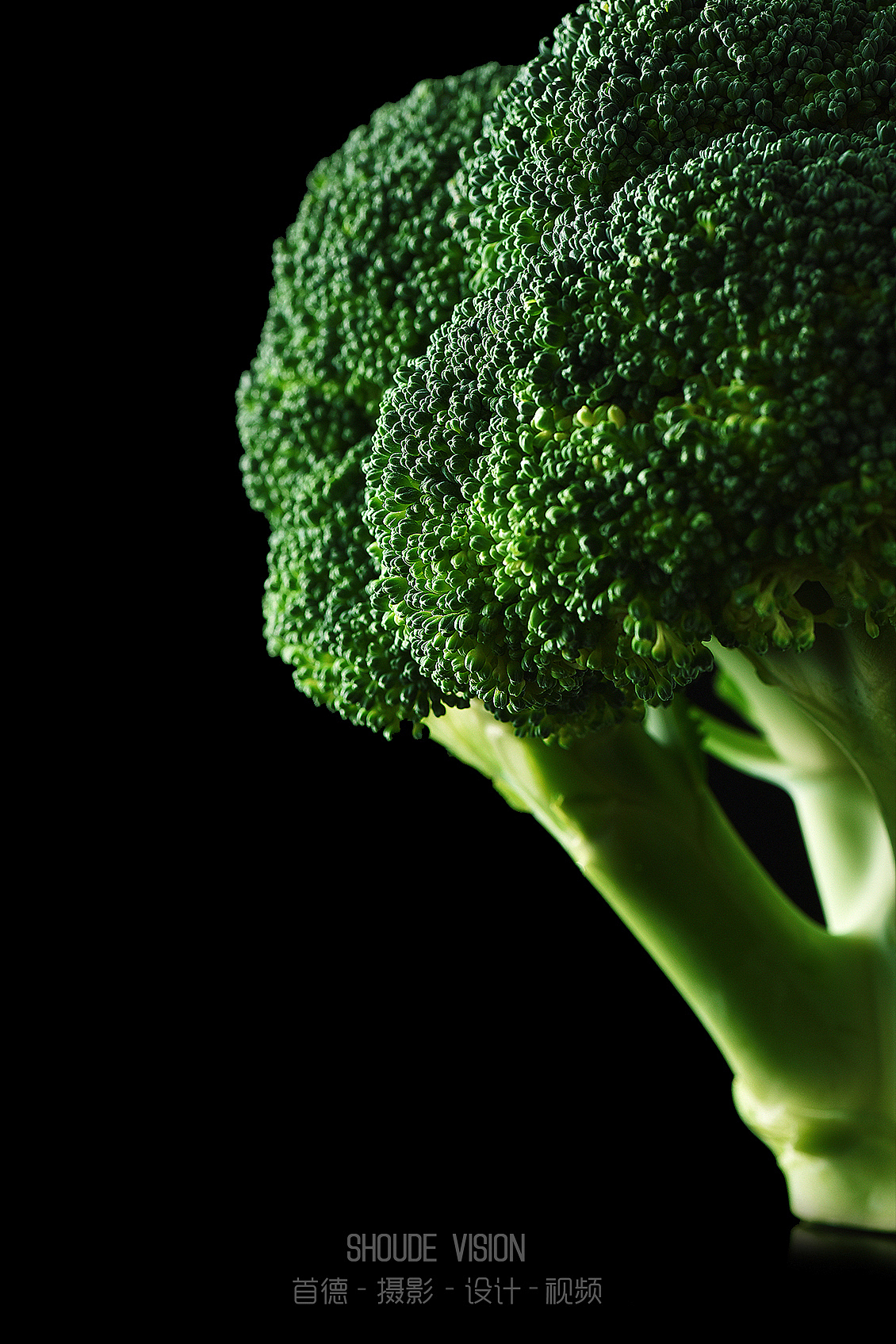 来一组蔬菜集合