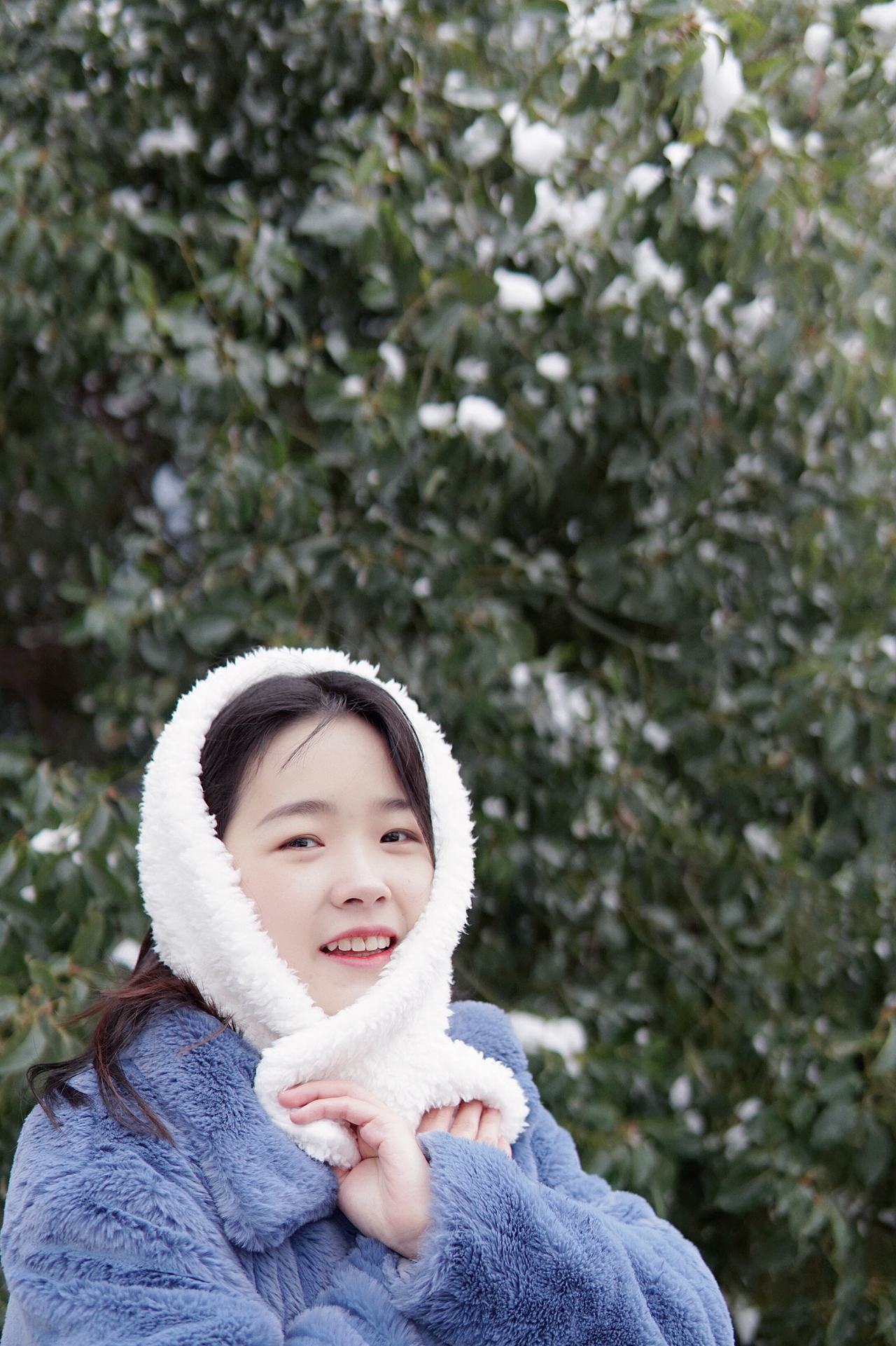 雪和云飘进梦里