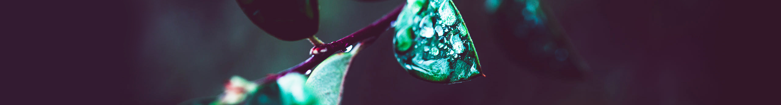 X佳Y的個人主頁（封面預(yù)覽） - 主頁封面設(shè)置 - 站酷設(shè)計師X佳Y原創(chuàng)素材 - 站酷ZCOOL