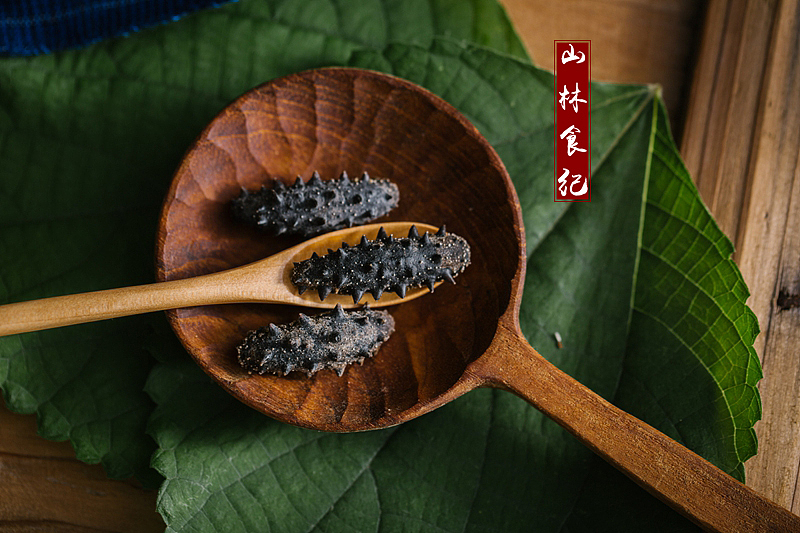 海参（图ZMTIyMDYxMzQw） - 产品摄影 - 站酷设计师山林纪原创素材 - 站酷ZCOOL