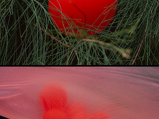 给日常加点向往