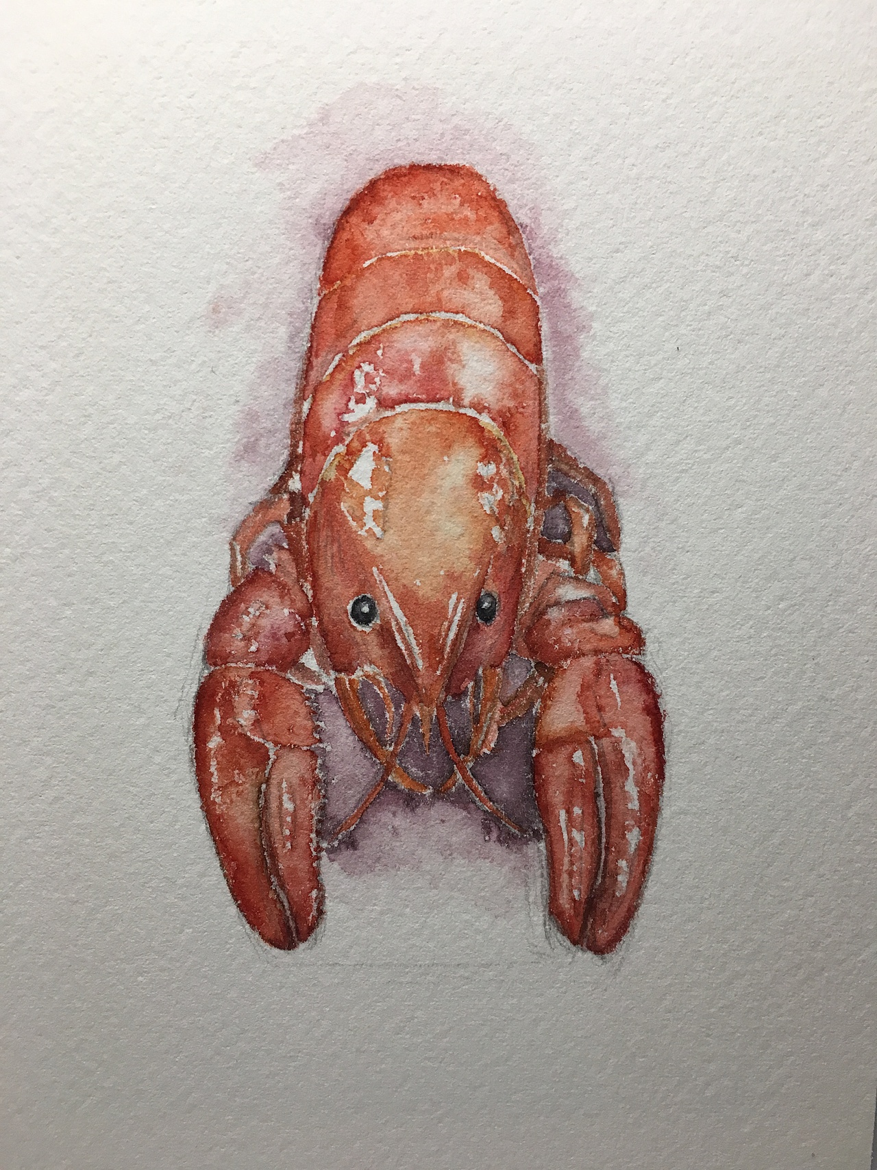 株洲味道-明信片，书签（图ZODE2NDgzMzY=） - 宣传物料 - 站酷设计师Santalan原创素材 - 站酷ZCOOL