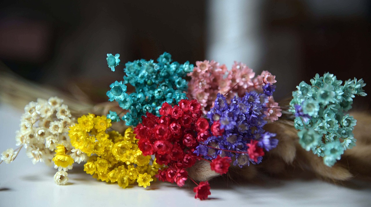 干花勿忘我 薰衣草 小雏菊 满天星，（图ZNDM0NzE5MjA=） - 产品摄影 - 站酷设计师鱼头疼原创素材 - 站酷ZCOOL