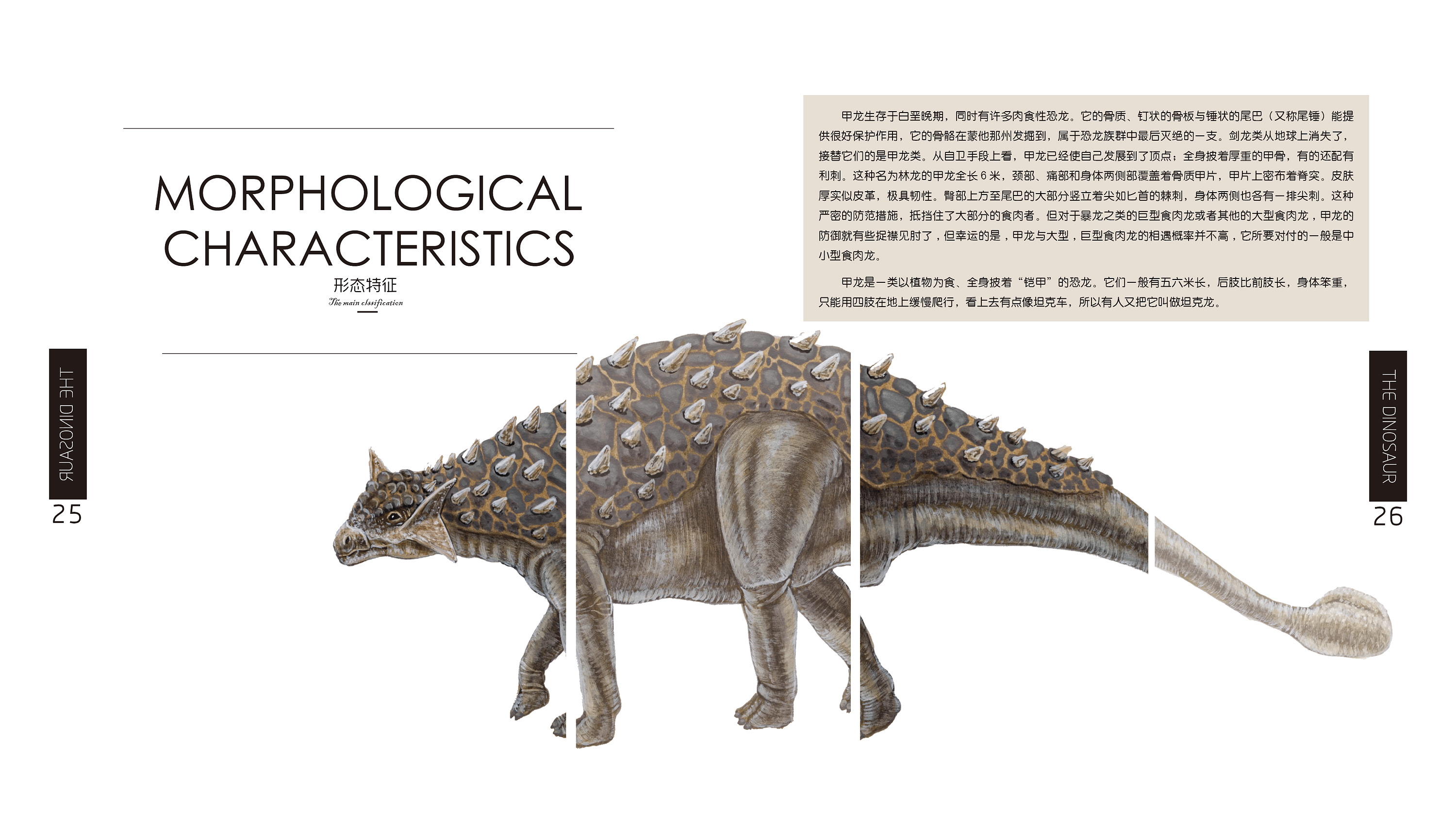 恐龙|平面|书籍/画册|白樱繁星 - 原创作品 - 站酷 (zcool)