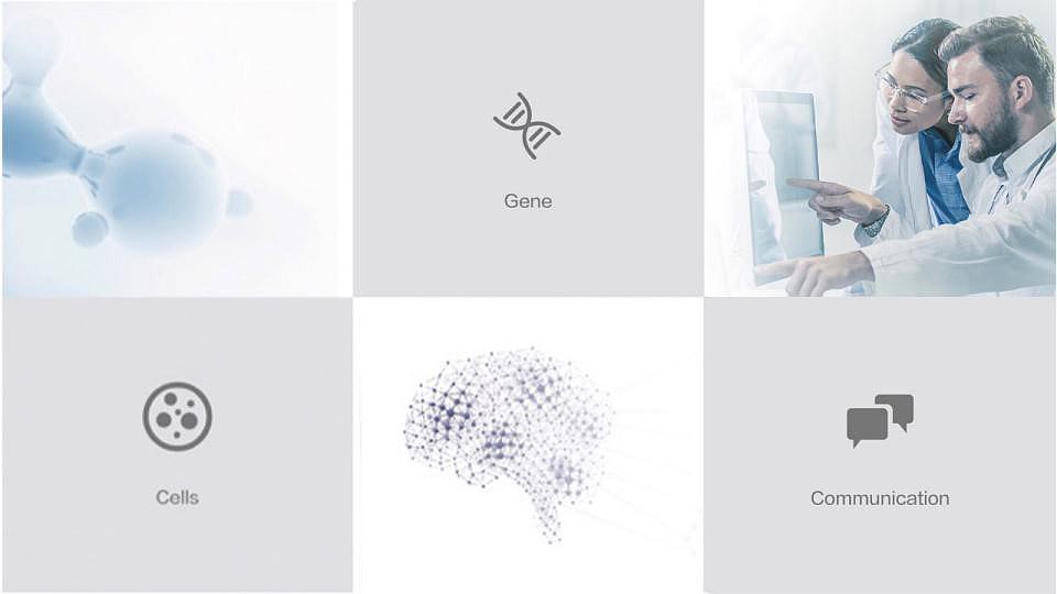 绿叶生命标志修改提案（图ZMjM2MDg5OTU2） - Logo - 站酷设计师许天博原创素材 - 站酷ZCOOL