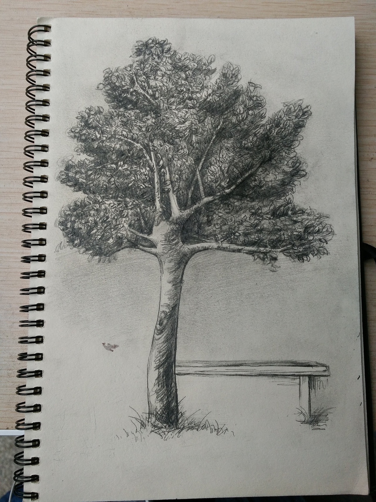 树_插画学者-站酷zcool