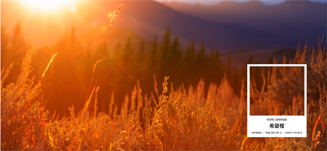 联通沃派-无畏青春、始终有沃（图ZMzA1Mzg0MTA0） - Logo - 站酷设计师c泽明原创素材 - 站酷ZCOOL