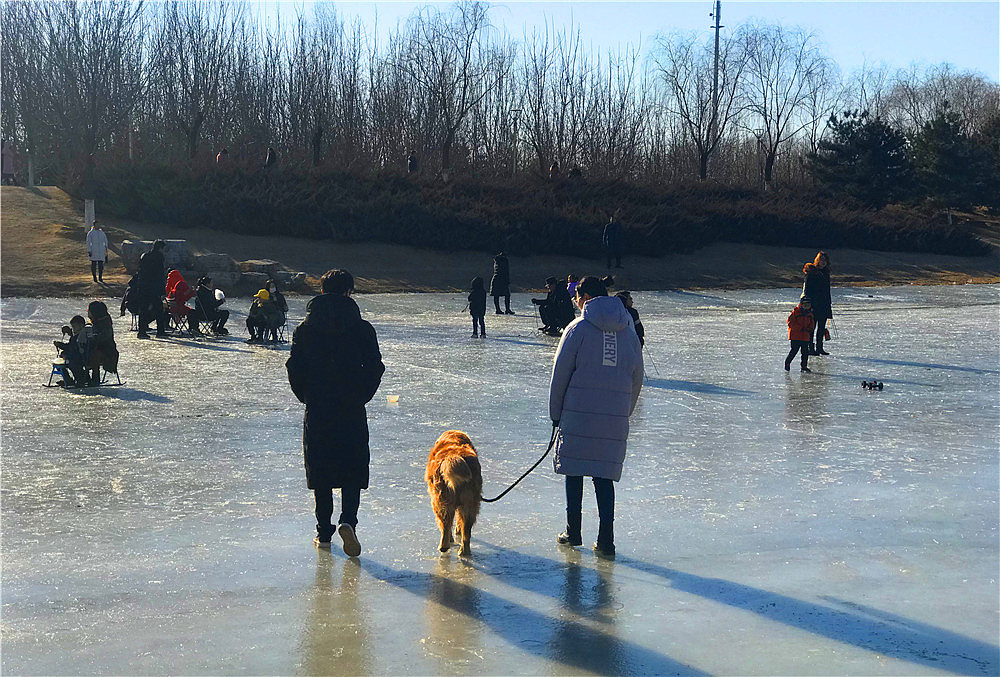 刘勇良手机纪实摄影:京冬河上天然滑冰场