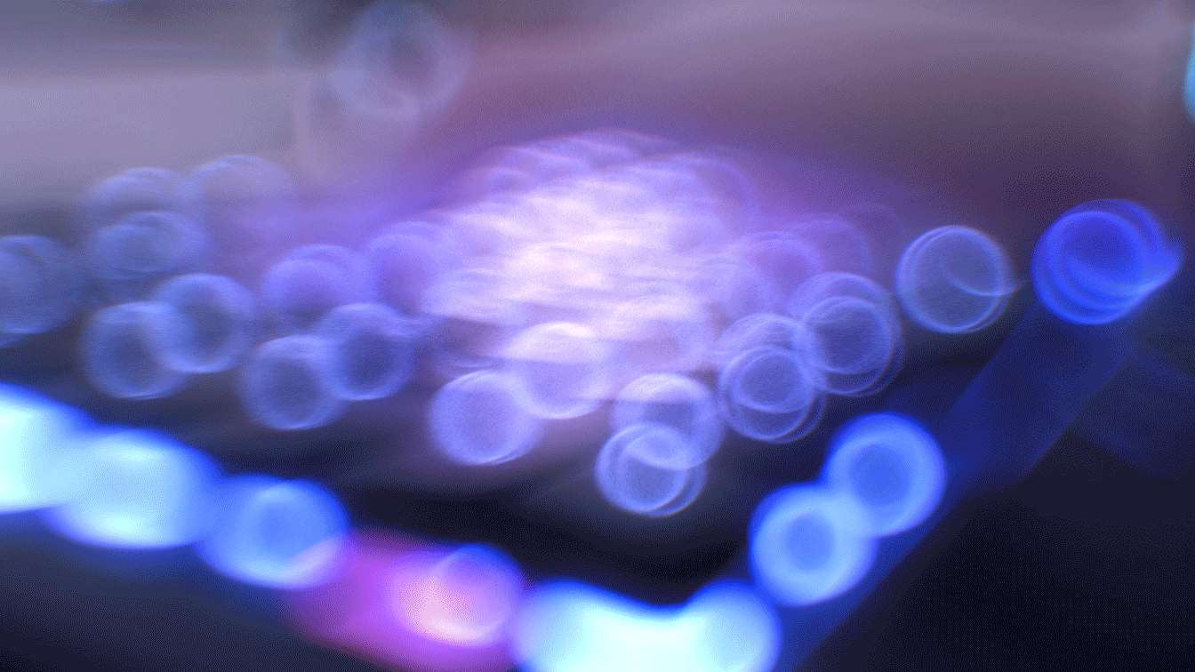 2022年NeXT冬赛季（图ZMzQzOTk0MjI0） - 品牌 - 站酷设计师网易CFun设计中心原创素材 - 站酷ZCOOL