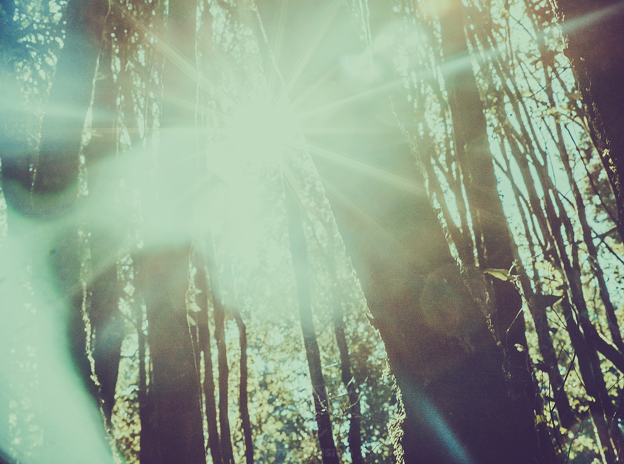 南国 有水也有光