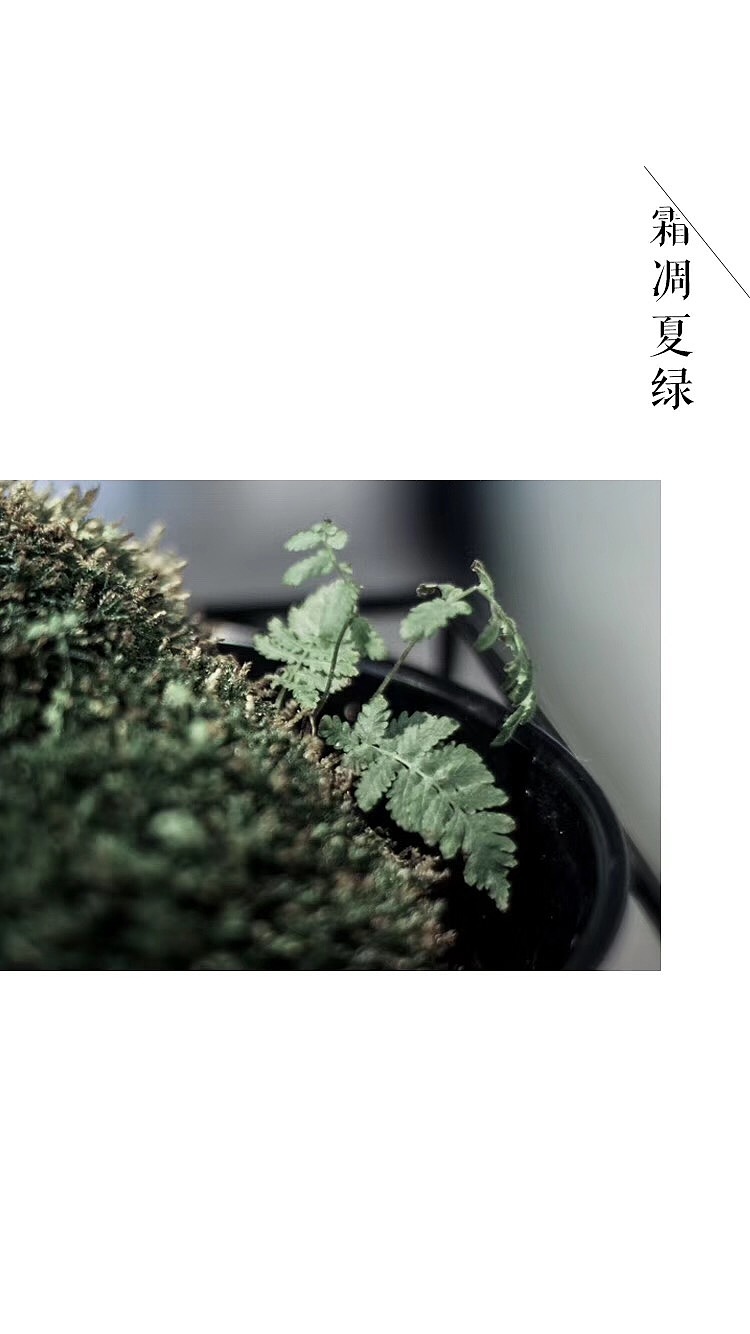 摄影小白（图ZMTM3NDkxMzA4） - 产品摄影 - 站酷设计师庄佳莹原创素材 - 站酷ZCOOL