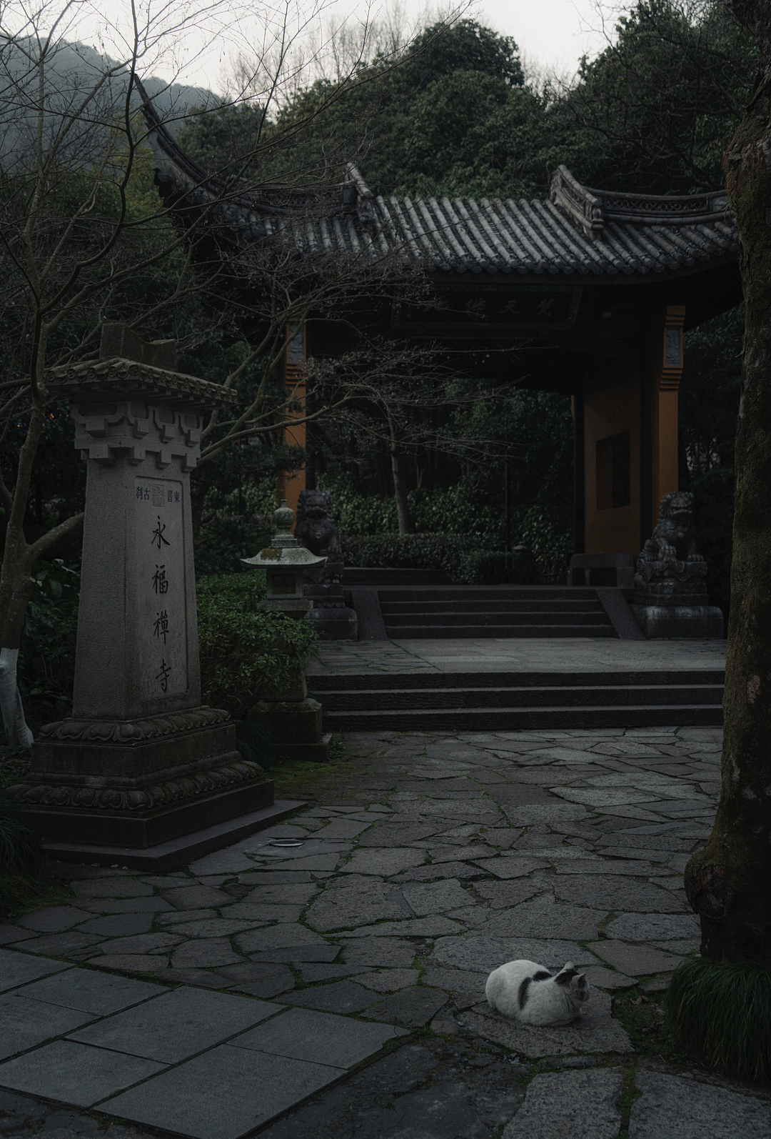 杭州永福寺、灵隐寺周边街拍（图ZMjkxMTI4MTg0） - 人文/纪实摄影 - 站酷设计师摄影师康超凡原创素材 - 站酷ZCOOL