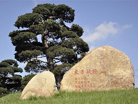 产业扶贫受认可 东锦集团金格勒获评“精准扶贫奖”