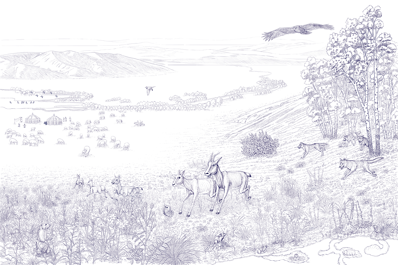 出版公司合作项目-线稿选页