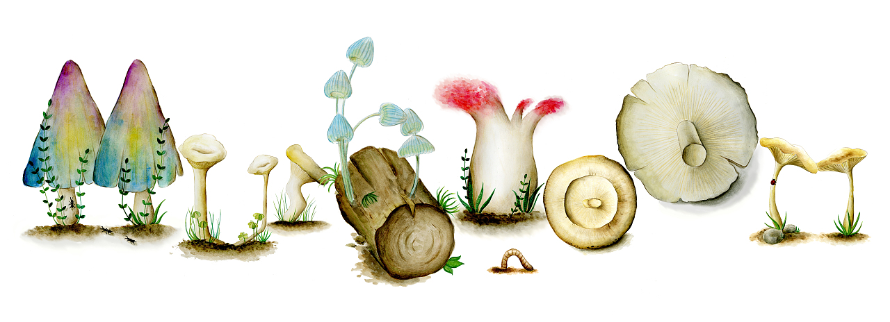 字体设计 mushroom🍄（图ZMTU3Nzg4Mjk2） - 创作习作 - 站酷设计师是叉子原创素材 - 站酷ZCOOL