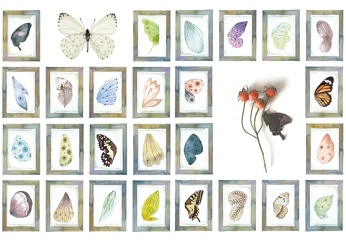 最新出版水彩教程书《昆虫记》（图ZMTEzODM4MTEy） - 商业插画 - 站酷设计师皮痞祖2016原创素材 - 站酷ZCOOL