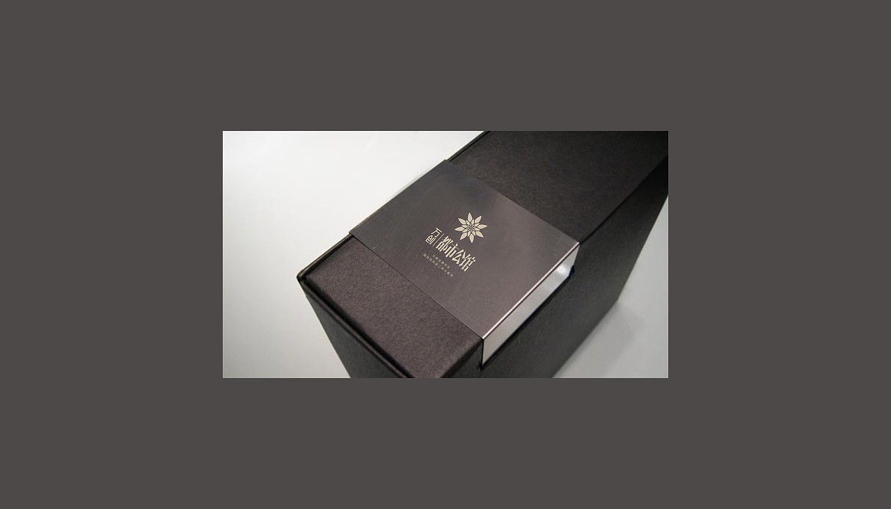地产  标志延展及表现稿