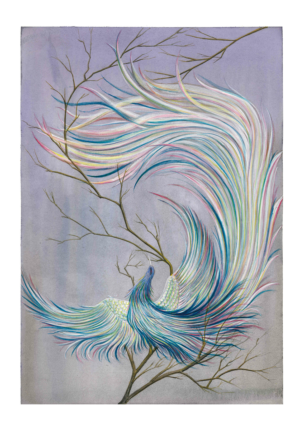 《山海经》插画设计(水彩)