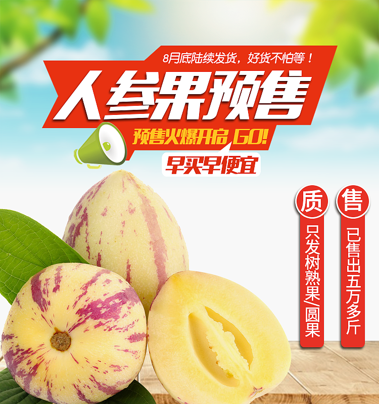 人参果预售