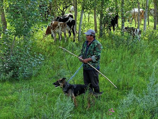 【牧民与牧犬】