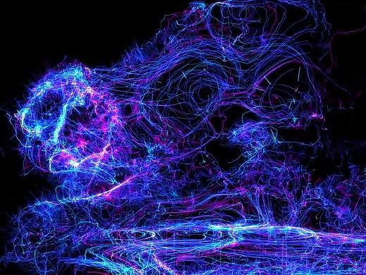 狮子之particular粒子攀爬