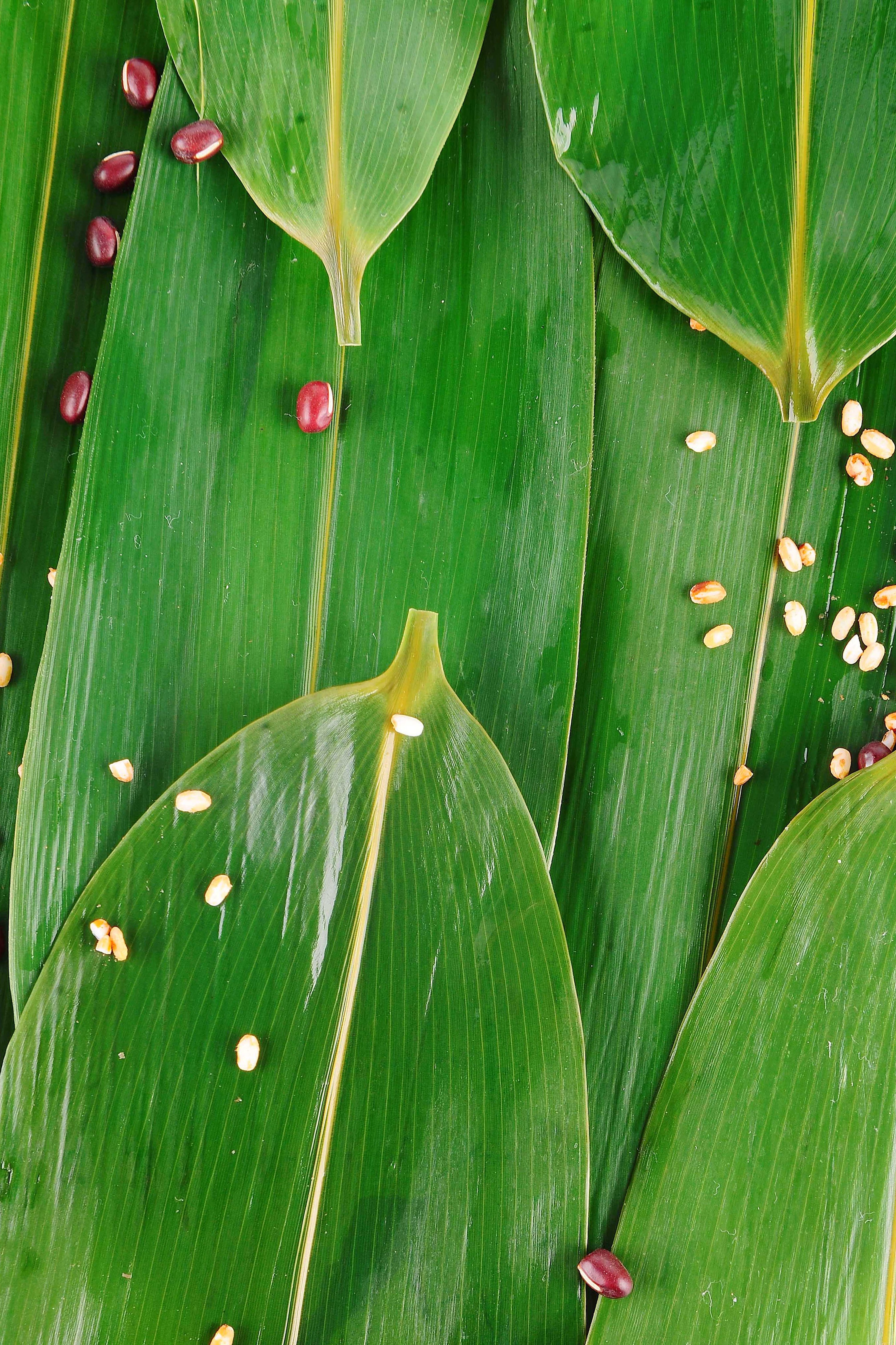 粽叶雨