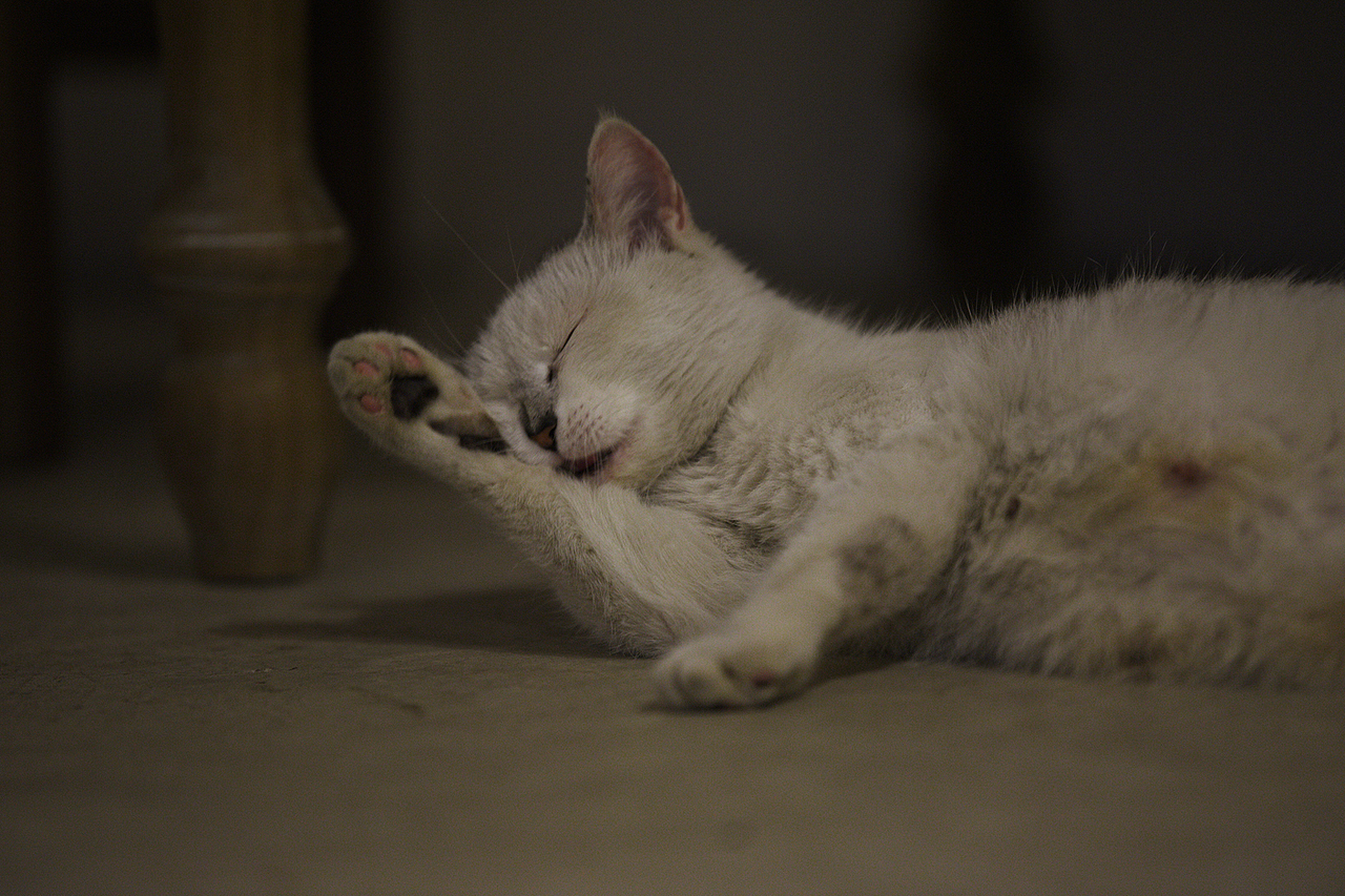 春觅（图ZMjQ5MDE0ODEy） - 人像摄影 - 站酷设计师翁谷粒原创素材 - 站酷ZCOOL