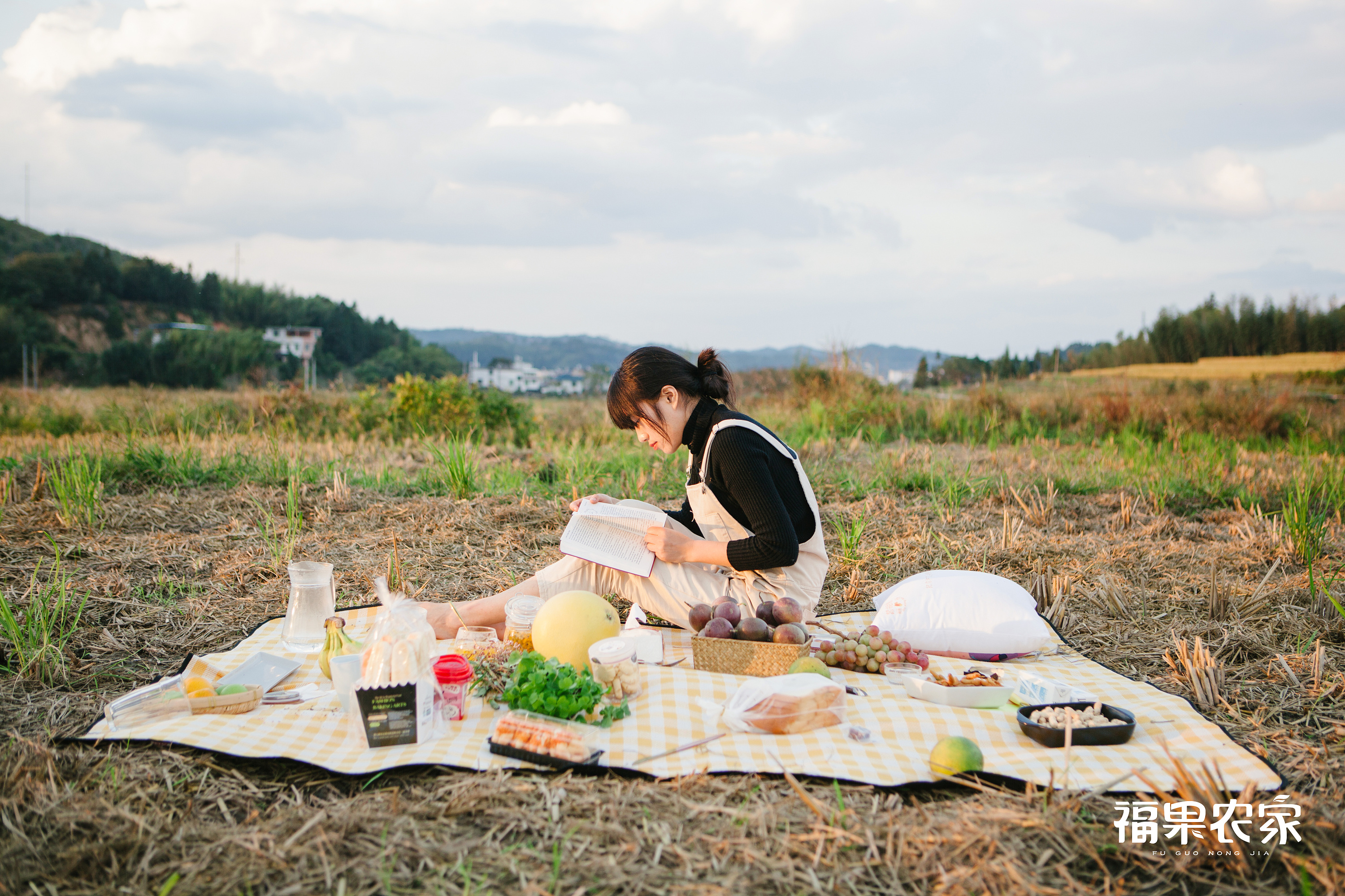 晴天,稻田里的野餐