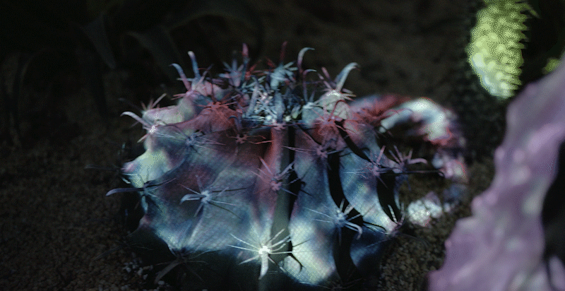 幻境之间（图ZMjY0NjA3ODYw） - 景观设计 - 站酷设计师LightHouseLAB原创素材 - 站酷ZCOOL