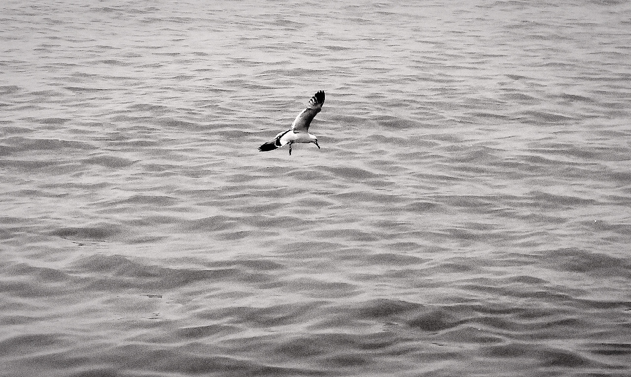 「有关于青岛 - 」