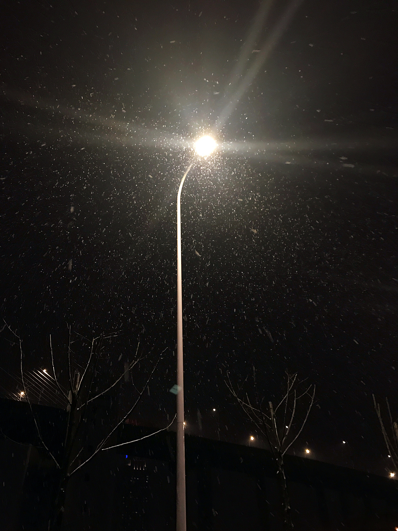 第一场雪 雪花在灯光下肆虐的飞舞，或有序，或杂乱，但很自由，很美好。