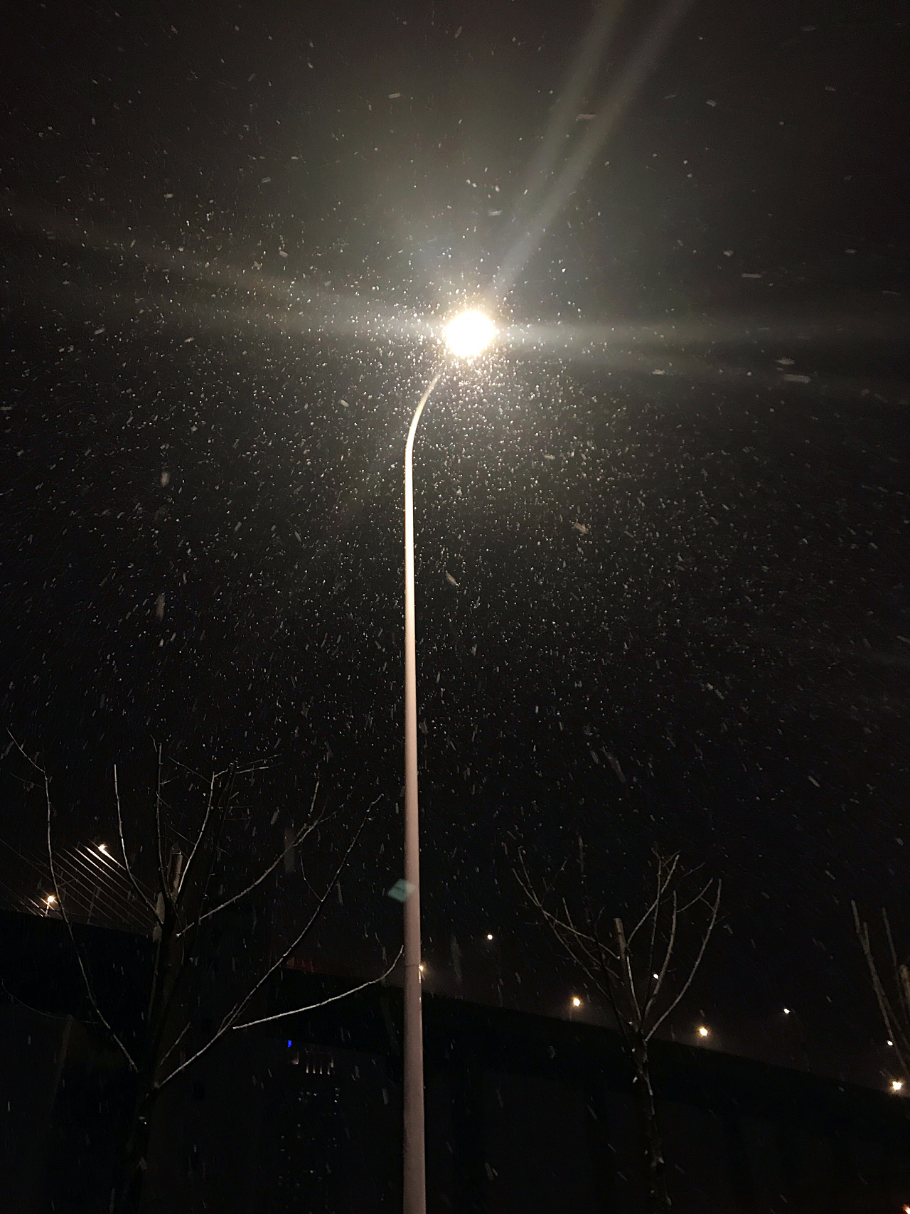 第一场雪 雪花在灯光下肆虐的飞舞,或有序,或杂乱,但很自由,很美好.