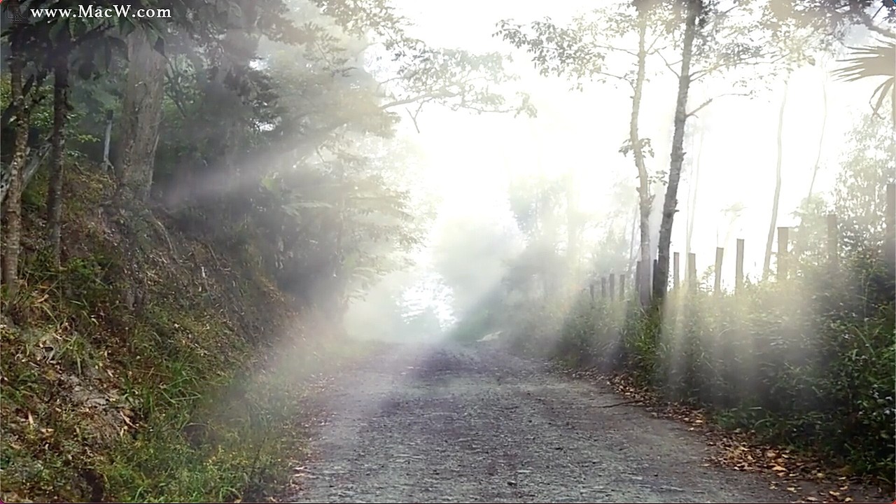 FCPX插件:阳光照射光线丁达尔特效