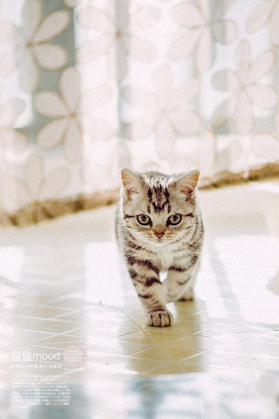 愿你成为自己的太阳（图ZMTA0MjE5NDMy） - 其他摄影 - 站酷设计师鱼鱼Mood原创素材 - 站酷ZCOOL