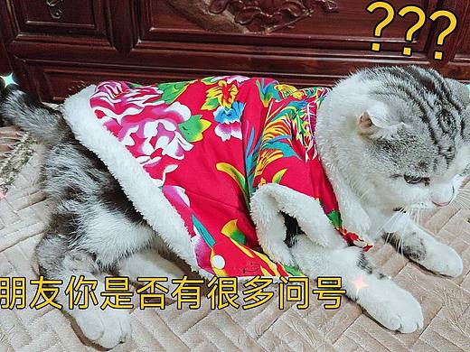 诚招会AI的美工技术员