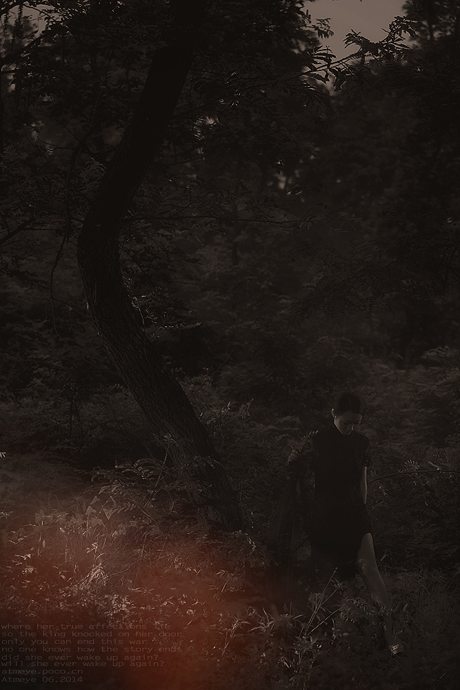 公元1239年 @秋瞳