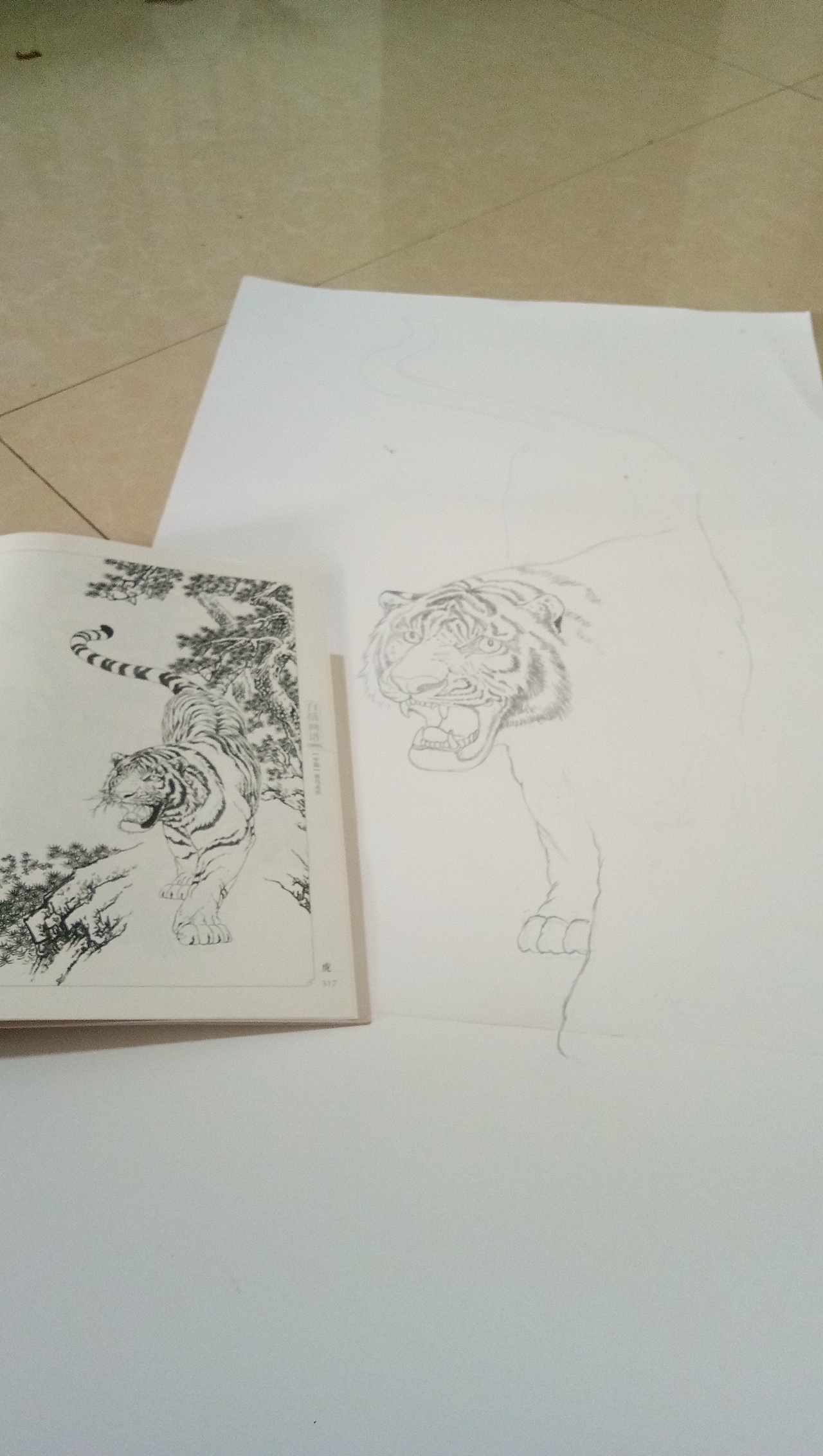 日常白描练习（图ZMTg1MzEyNjM2） - 绘画 - 站酷设计师你微笑时好美tcl原创素材 - 站酷ZCOOL