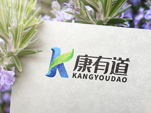 康有道logo，药店log