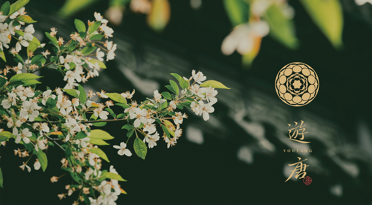 遊唐·新派川菜丨品牌设计