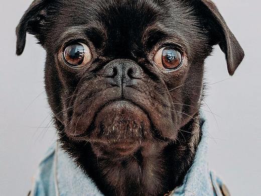 盘点那些令人绝望的设计