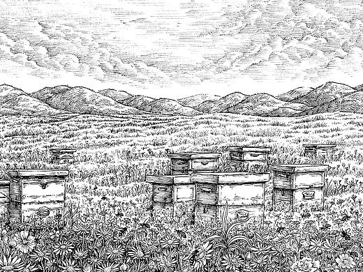 三幅商业插图：《大叔与蜂场》