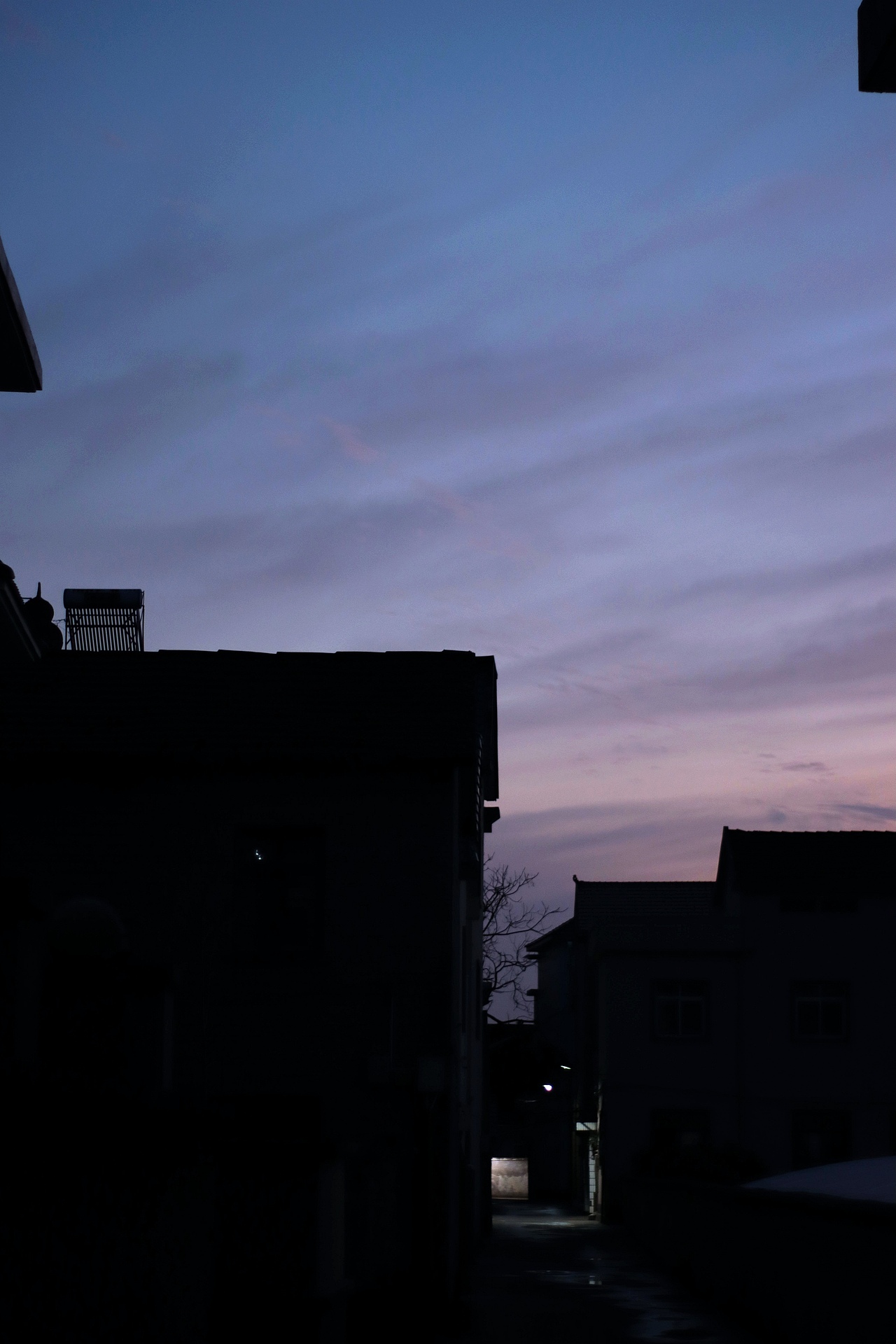 云啊,树啊,日啊