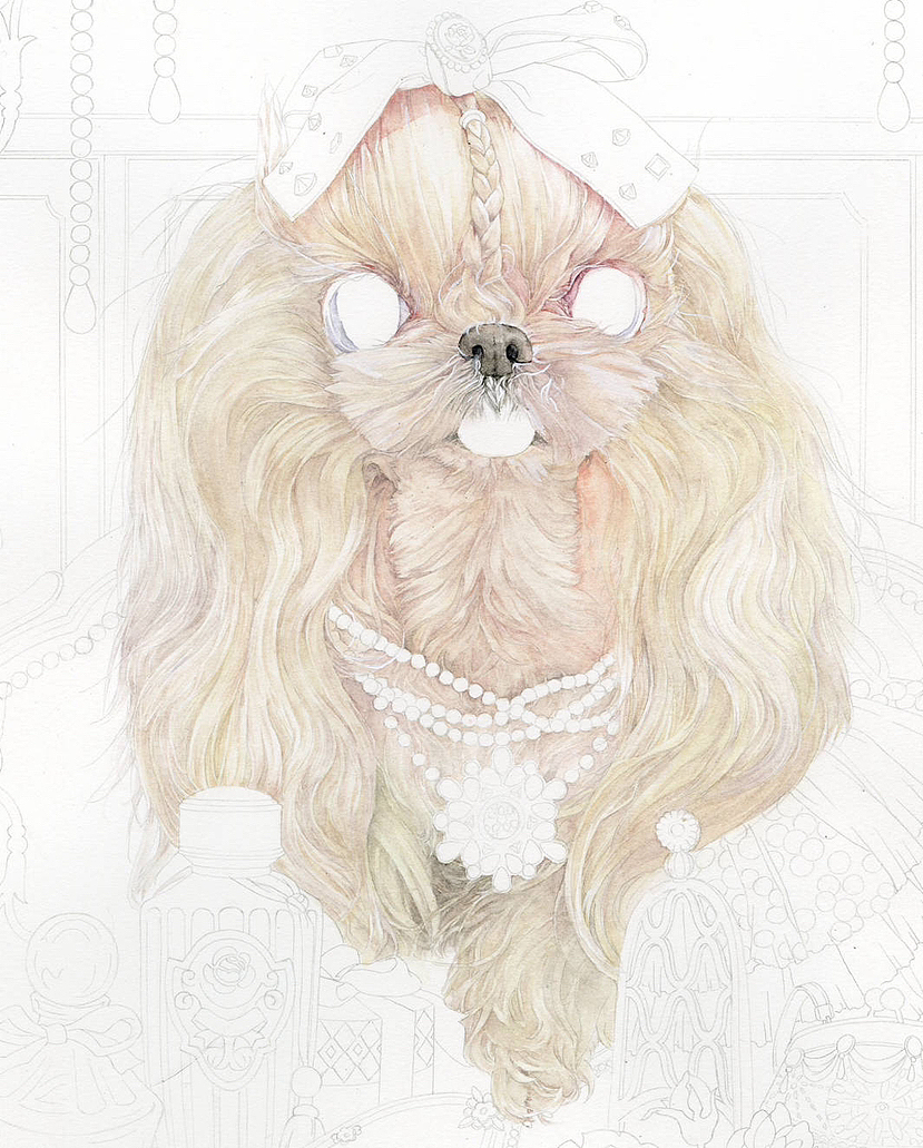 狗中贵族马尔济斯（图ZMzI1ODEyMDAw） - 创作习作 - 站酷设计师爱做梦的猫原创素材 - 站酷ZCOOL