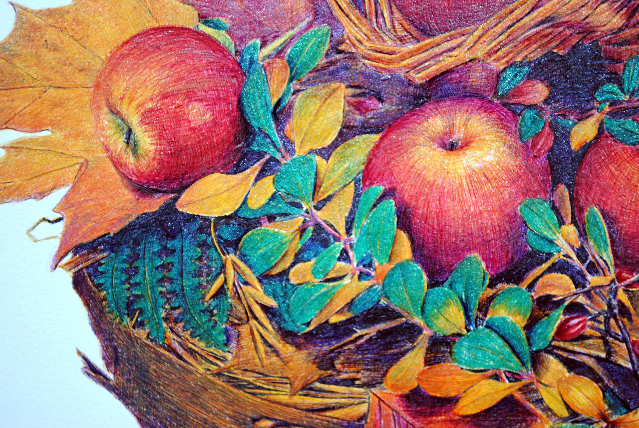 OY彩色圆珠笔画60小时作品