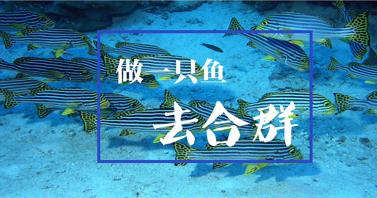 做只动物吧（图ZNjc4OTQ4NDQ=） - 风光摄影 - 站酷设计师宁杰肖原创素材 - 站酷ZCOOL