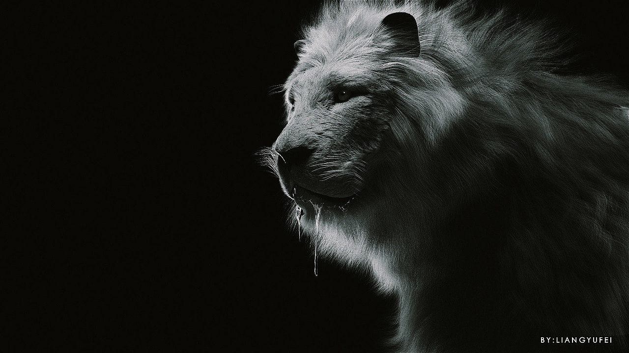 Lion fur test（图ZMTUyNTI3NTYw） - 人物/生物 - 站酷设计师Leo羽飞原创素材 - 站酷ZCOOL