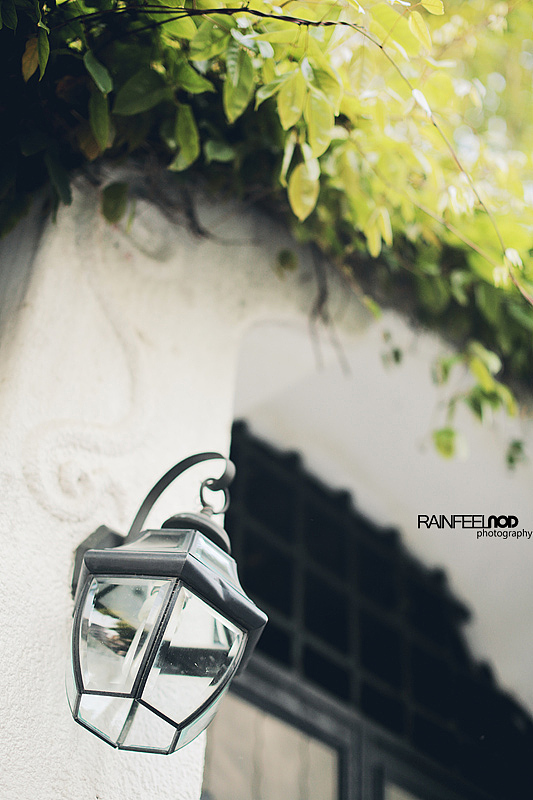 血脉传承 Quattroporte