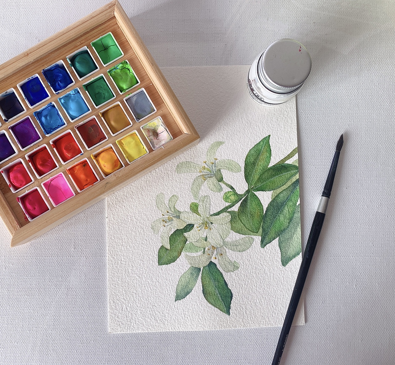 水彩七里香（圖ZMjk0MDY4NDA0） - 商業(yè)插畫 - 站酷設(shè)計(jì)師小閑插畫原創(chuàng)素材 - 站酷ZCOOL