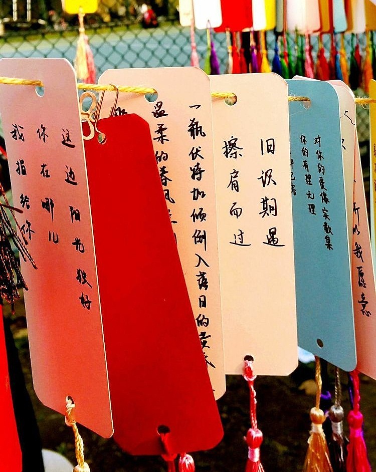 同济四季——春（图ZMTA5MDE3Mzgw） - 风光摄影 - 站酷设计师一只阿胤原创素材 - 站酷ZCOOL