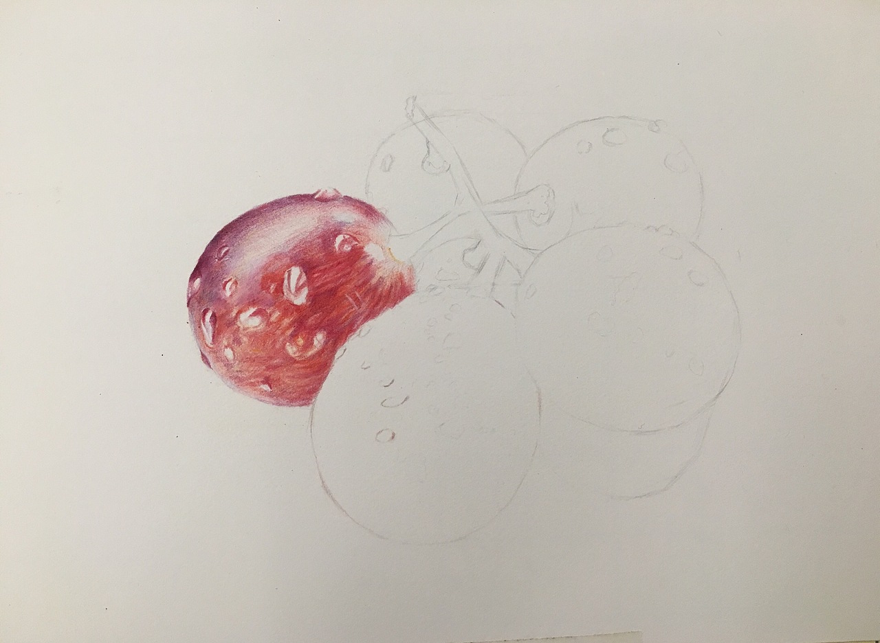 彩铅画葡萄（图ZMTgyMzEwMDU2） - 绘画 - 站酷设计师龚方俊手绘原创素材 - 站酷ZCOOL